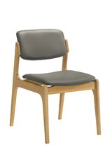 Canyon Dining Chair