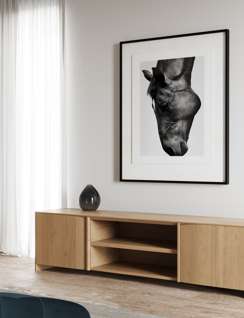 Erin Entertainment Unit